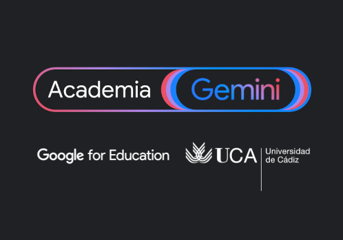 IMG Academia Gemini